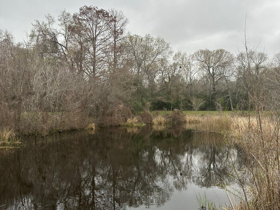 Armand Bayou Nature Center景点图片
