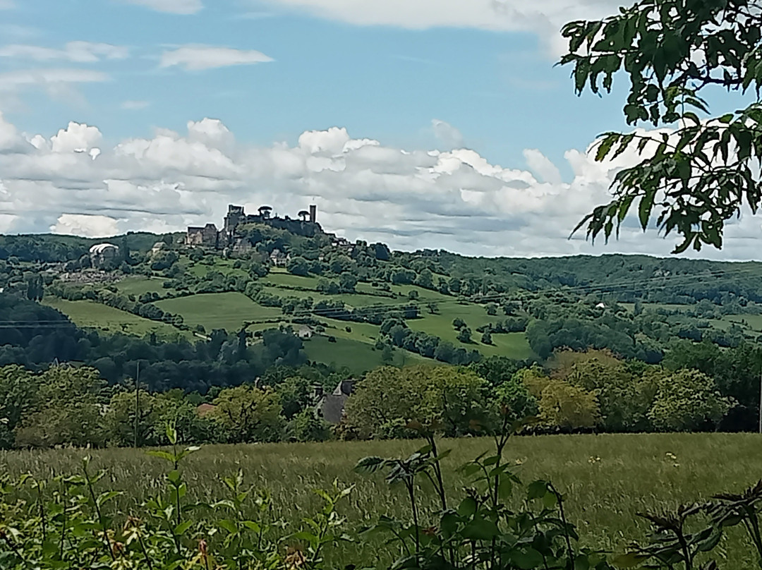 Château de Turenne景点图片