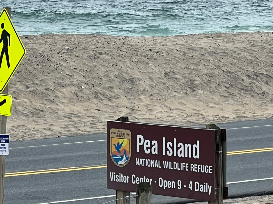 Pea Island National Wildlife Refuge景点图片