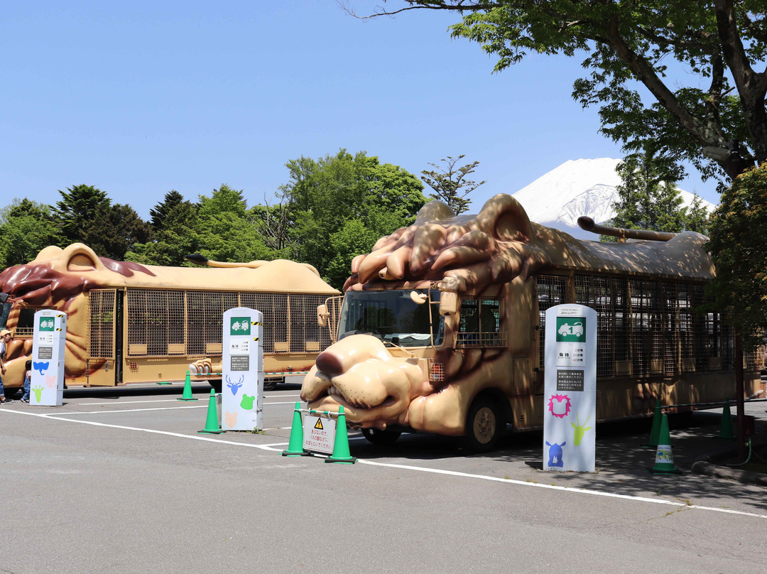 Fuji Safari Park-裾野市必去景点