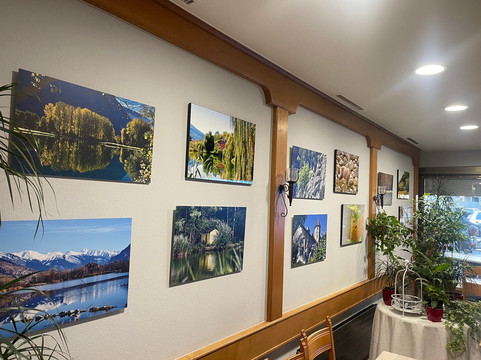 卡西诺酒店主图