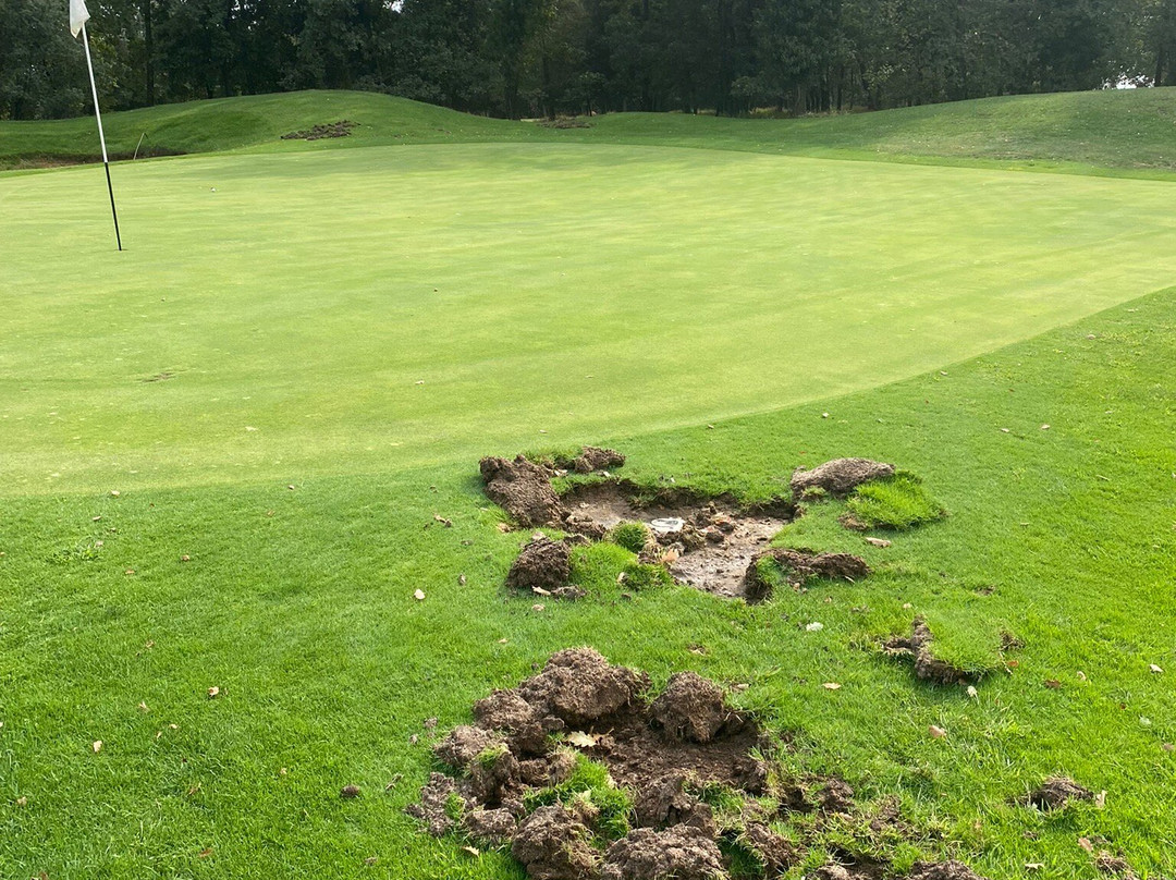 Gold du Claux-Amic-格拉斯必去景点