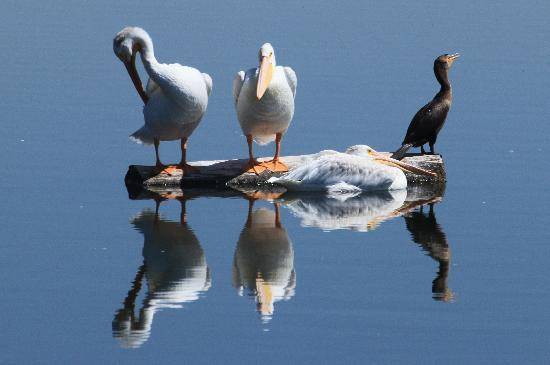 Windsor Lake-Windsor必去景点