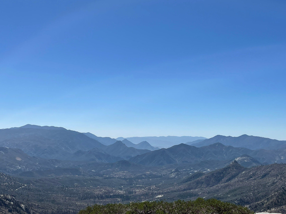 Sequoia National Forest景点图片