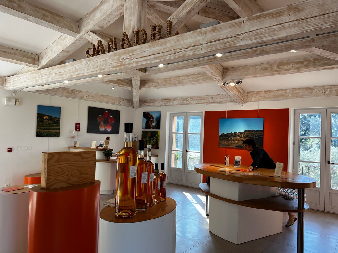 Chateau Canadel景点图片