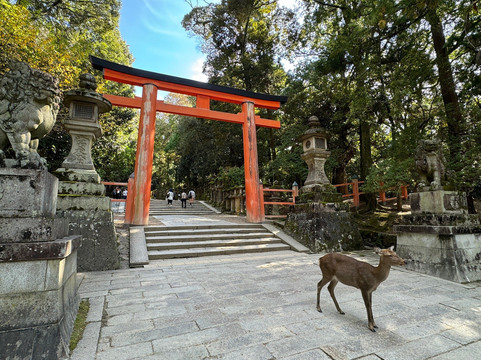 NARAWALK-奈良市必去景点