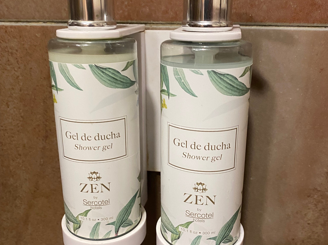 赛考特尔福美来孔德酒店主图