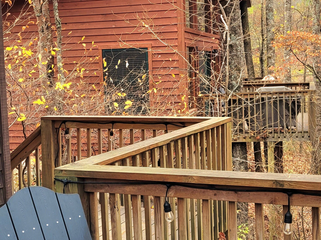 Rivers Edge Treehouse Resort主图