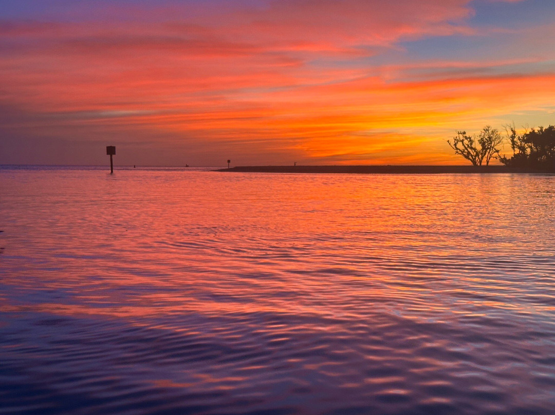 Get Up And Go Kayaking - Naples-博尼塔斯普林斯必去景点
