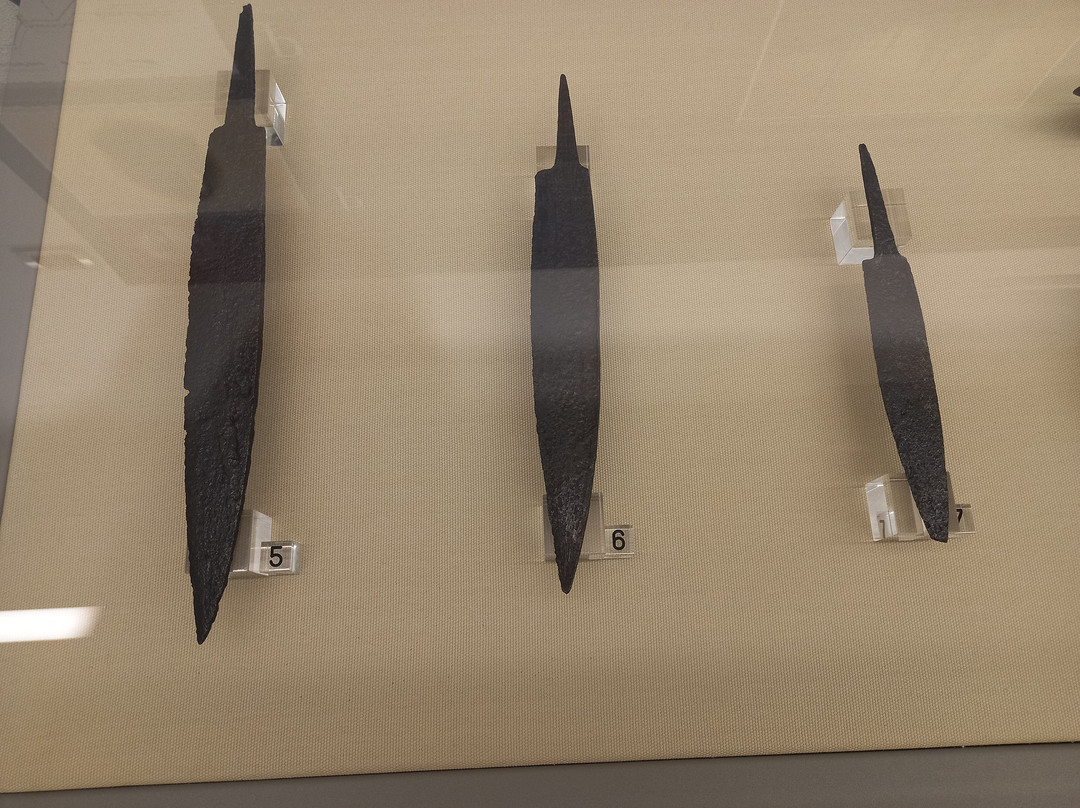 Museo della Fondazione Fioroni景点图片