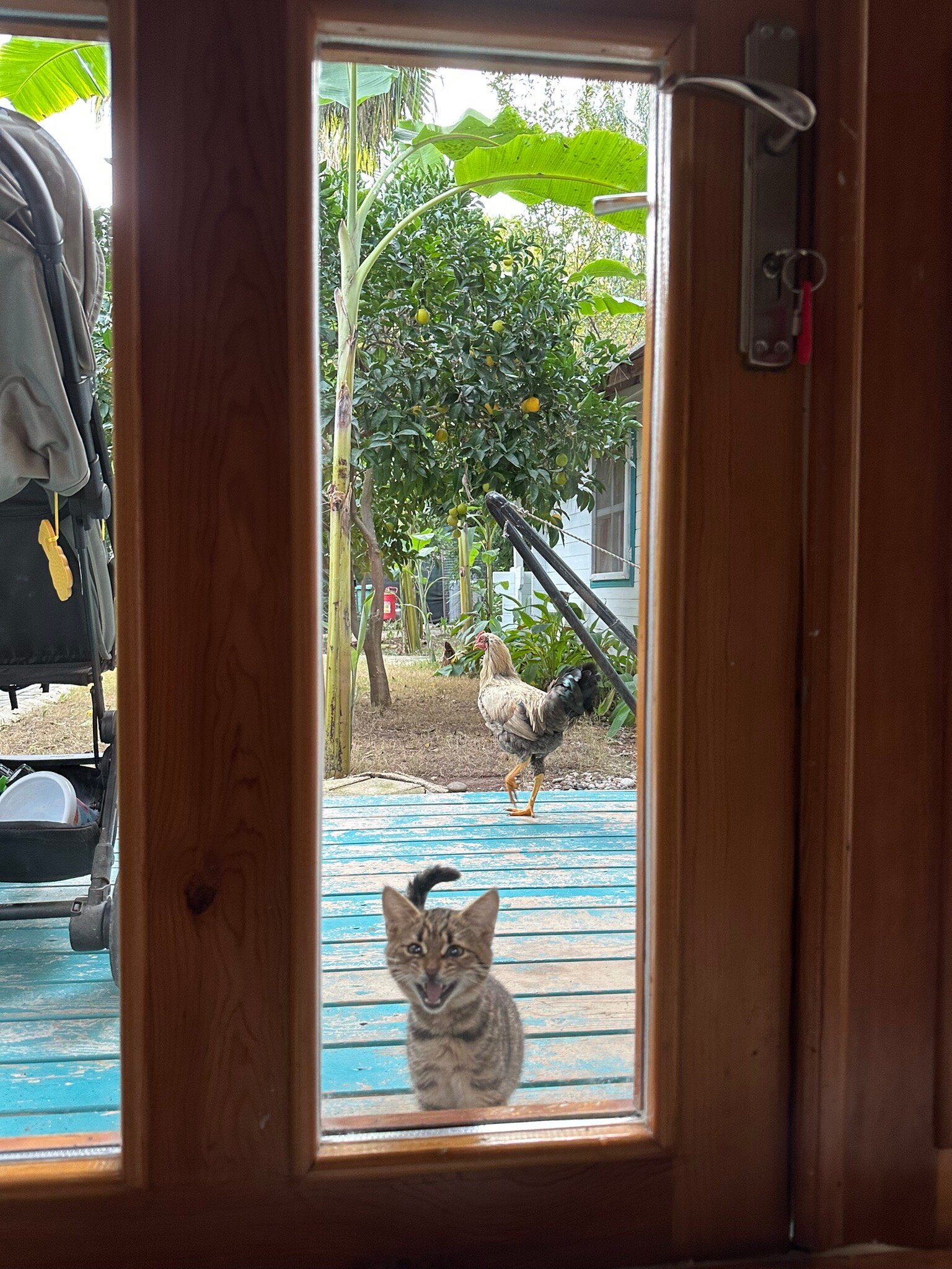 Bellerofon Hotel-官方