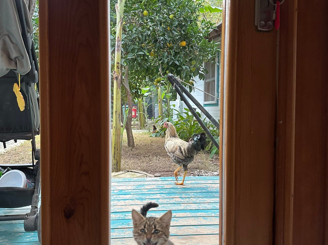 Bellerofon Hotel主图