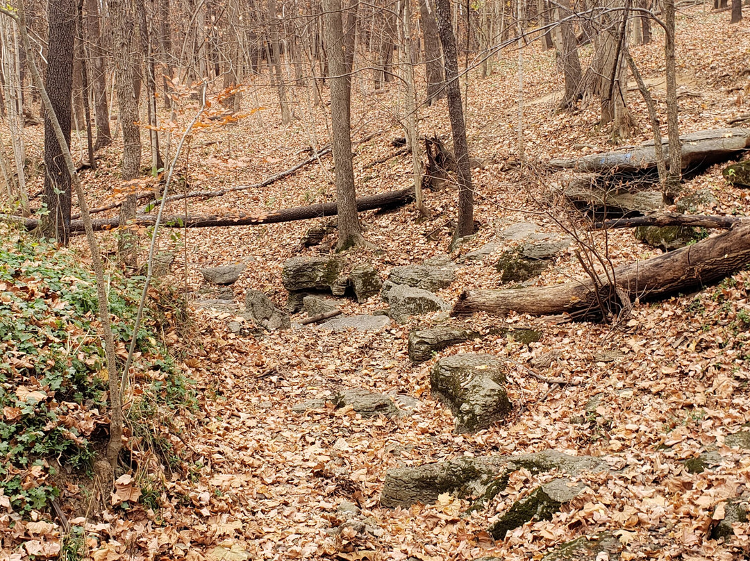 Cherokee Park-路易斯维尔必去景点