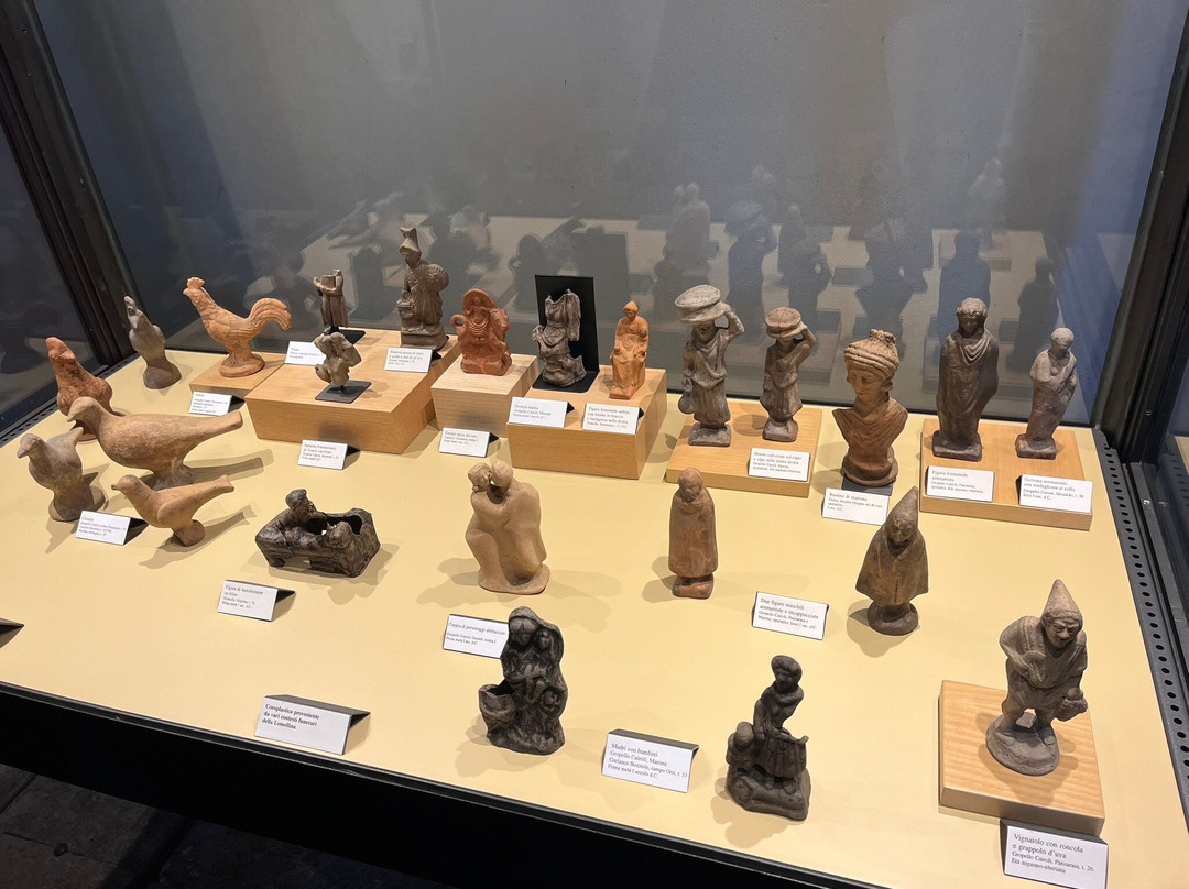 Museo Archeologico Nazionale della Lomellina景点图片