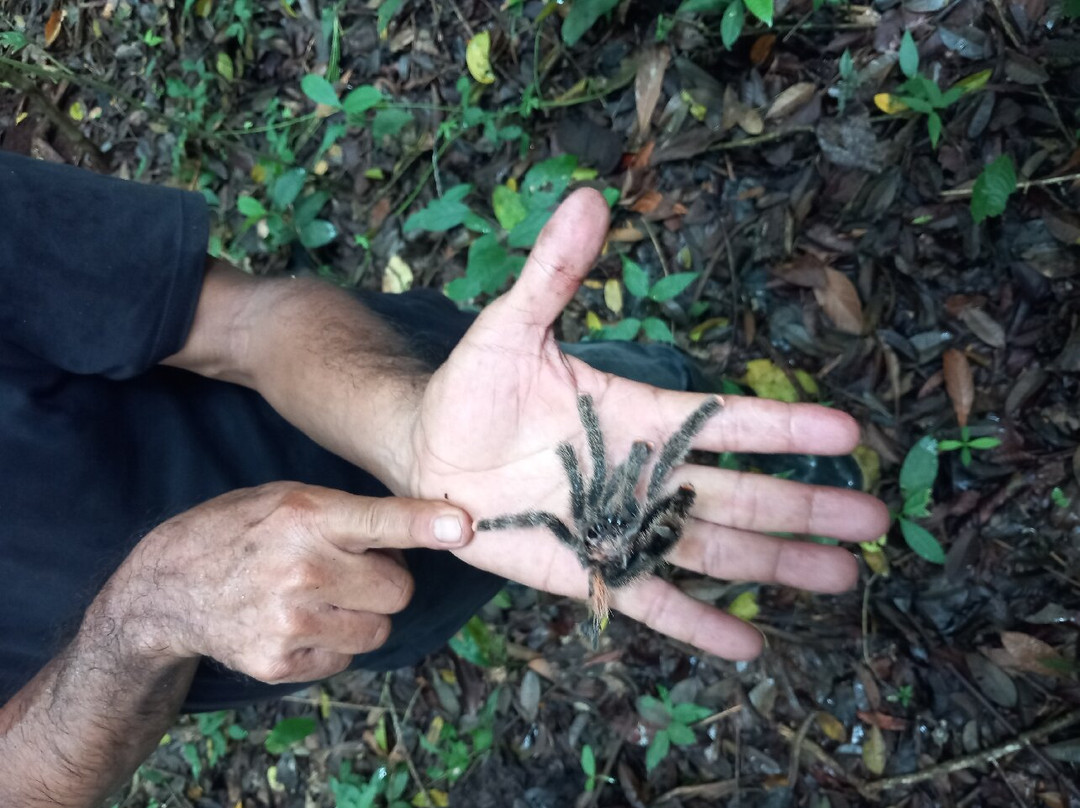 Peru Jungle Trips-伊基托斯必去景点