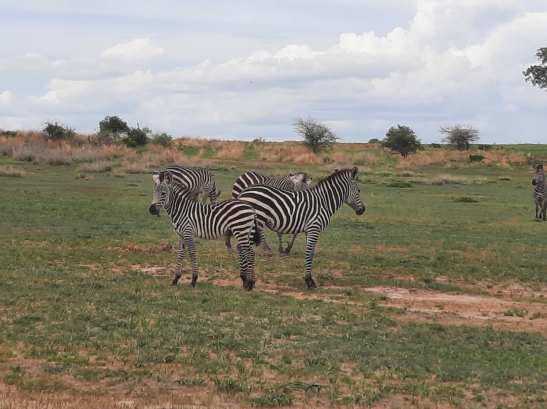 Mothalands Safari Tours Ltd-Iringa必去景点