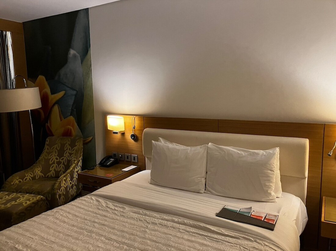 Le Méridien Cairo Airport主图