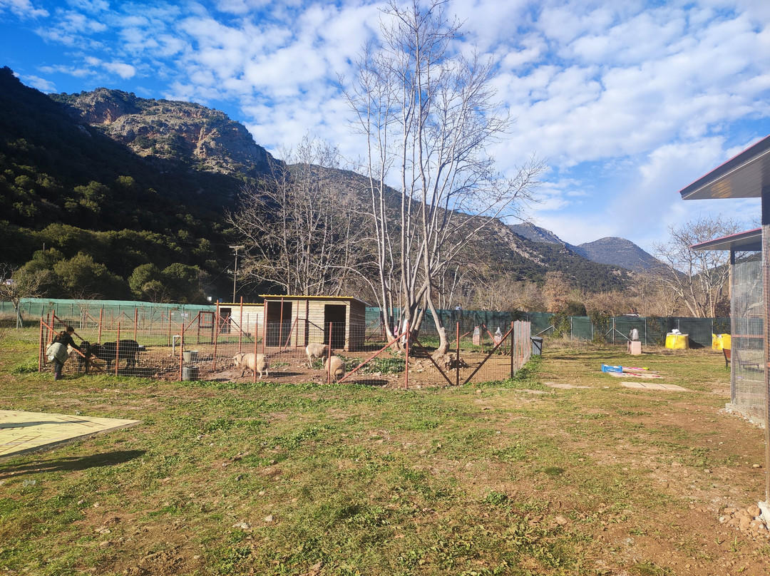 Zoologikós Kípos Kalavrýton-卡拉夫里塔必去景点