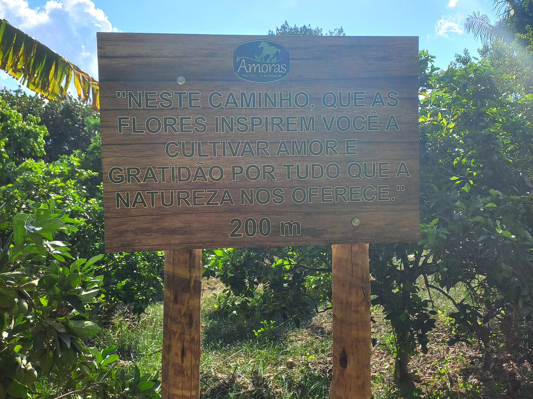 Hotel Fazenda Amoras主图