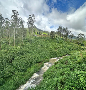 Dissa Tours Sri Lanka-尼甘布必去景点