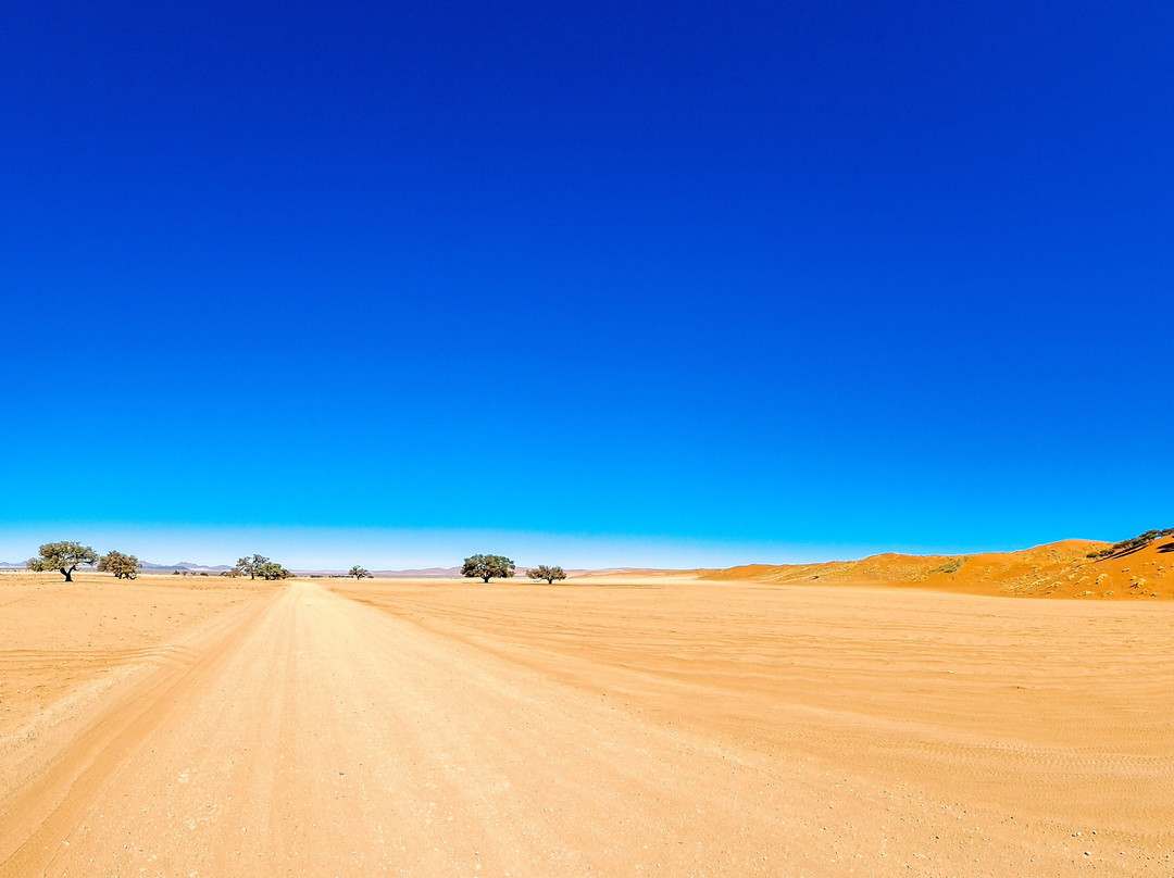 Elim Dunes-Namib-Naukluft Park必去景点
