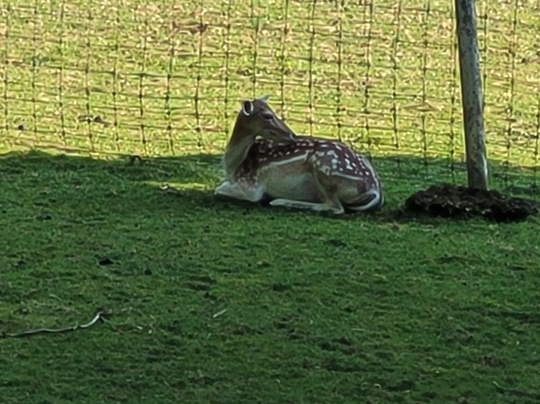 Tierpark Bad Zurzach-Bad Zurzach必去景点