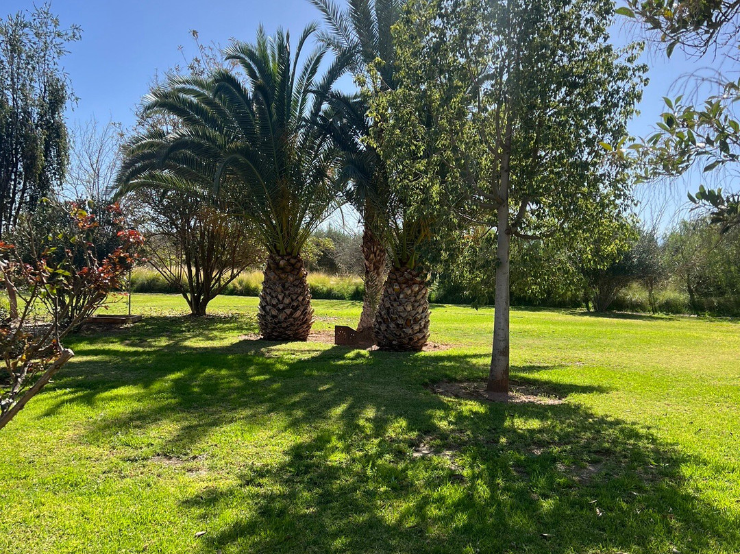 Maidan El Arsa主图