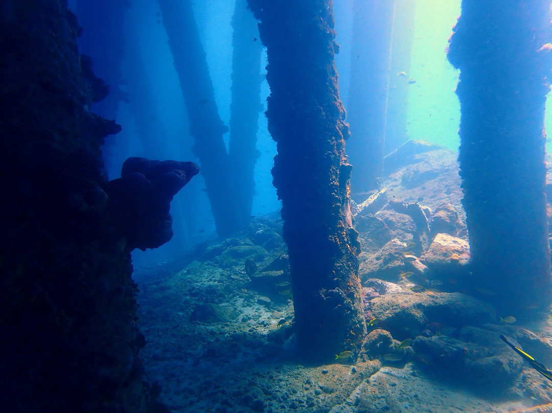 Reefers & Wreckers Dive Shop-Speightstown必去景点