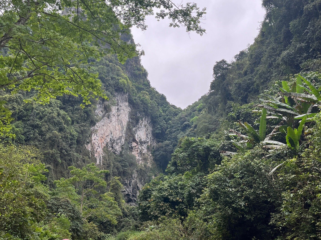 古龙山峡谷群景点图片
