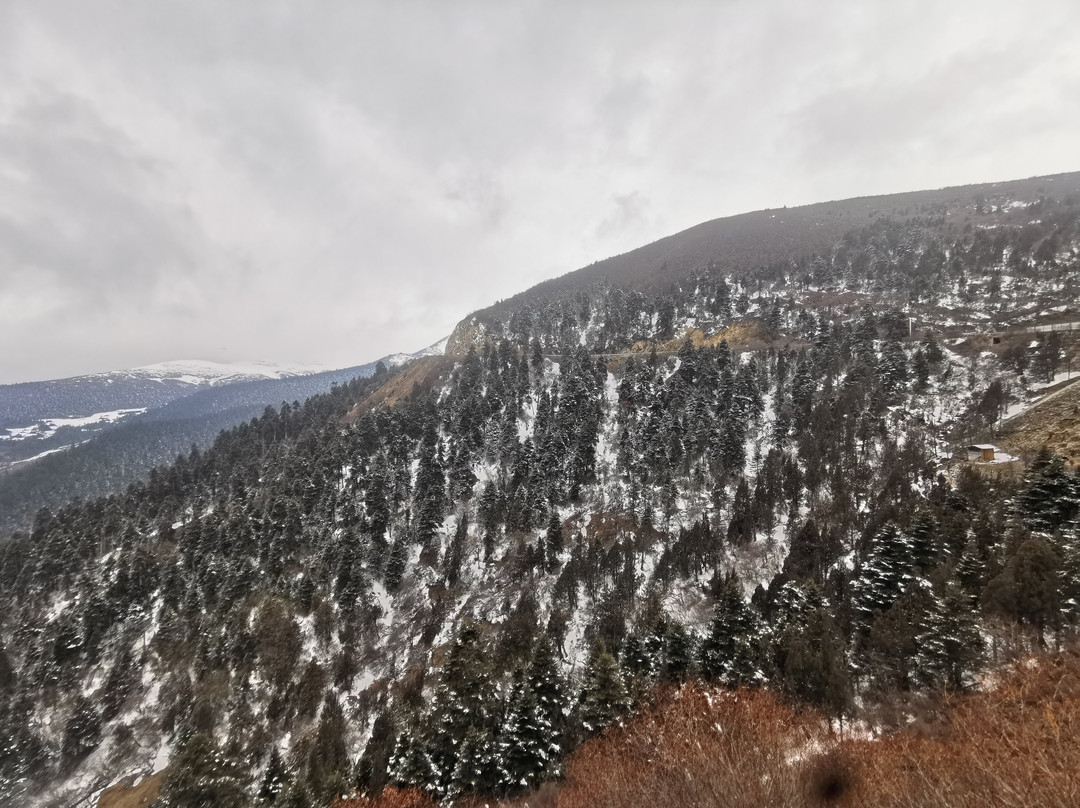 Xizang Nature Tour-拉萨市必去景点