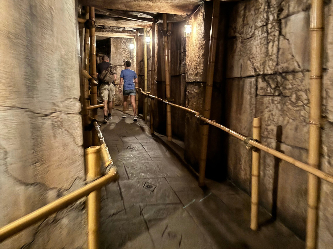Indiana Jones Adventure-阿纳海姆必去景点