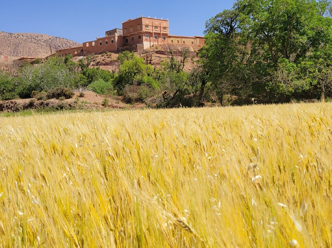 Empreintes Marocaines景点图片