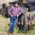 Jeffmcline