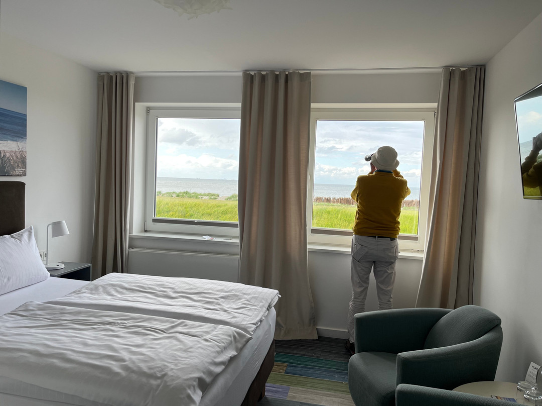 Beach Hotel California主图