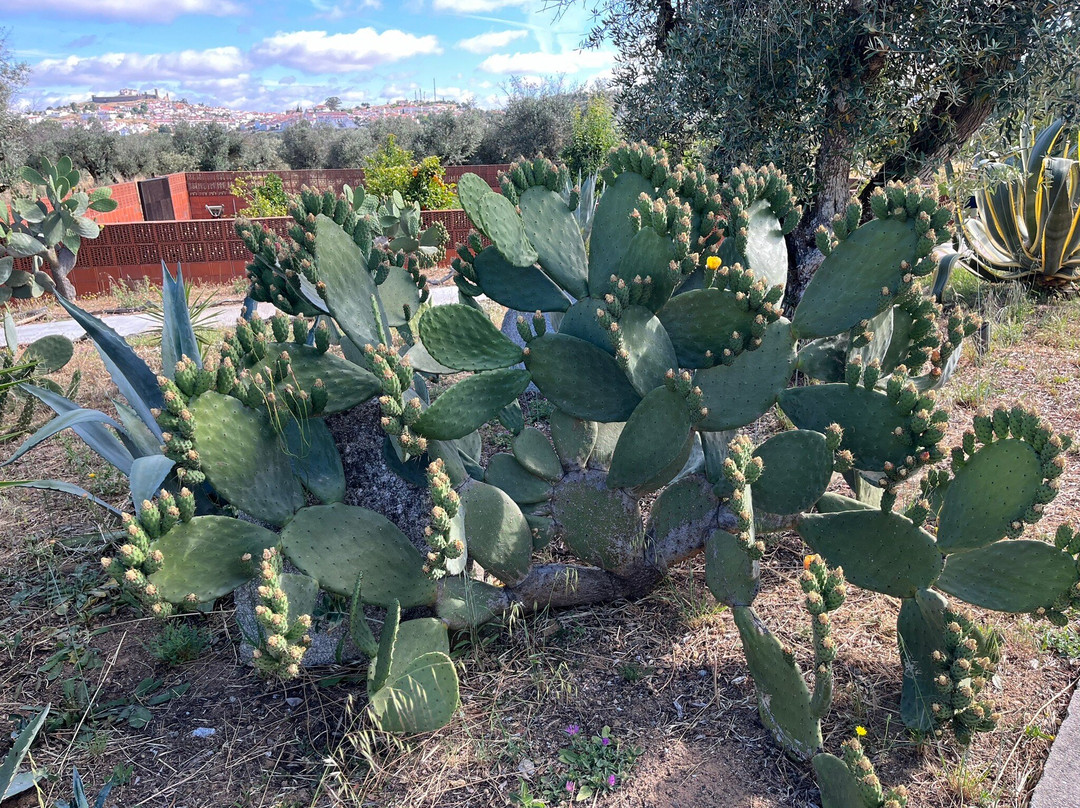 Villa Extramuros主图