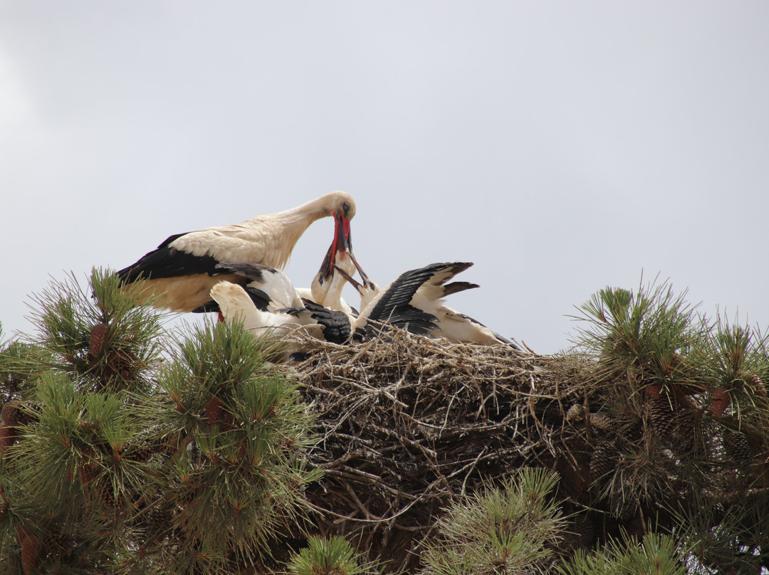 Três Marias - Turismo Rural主图