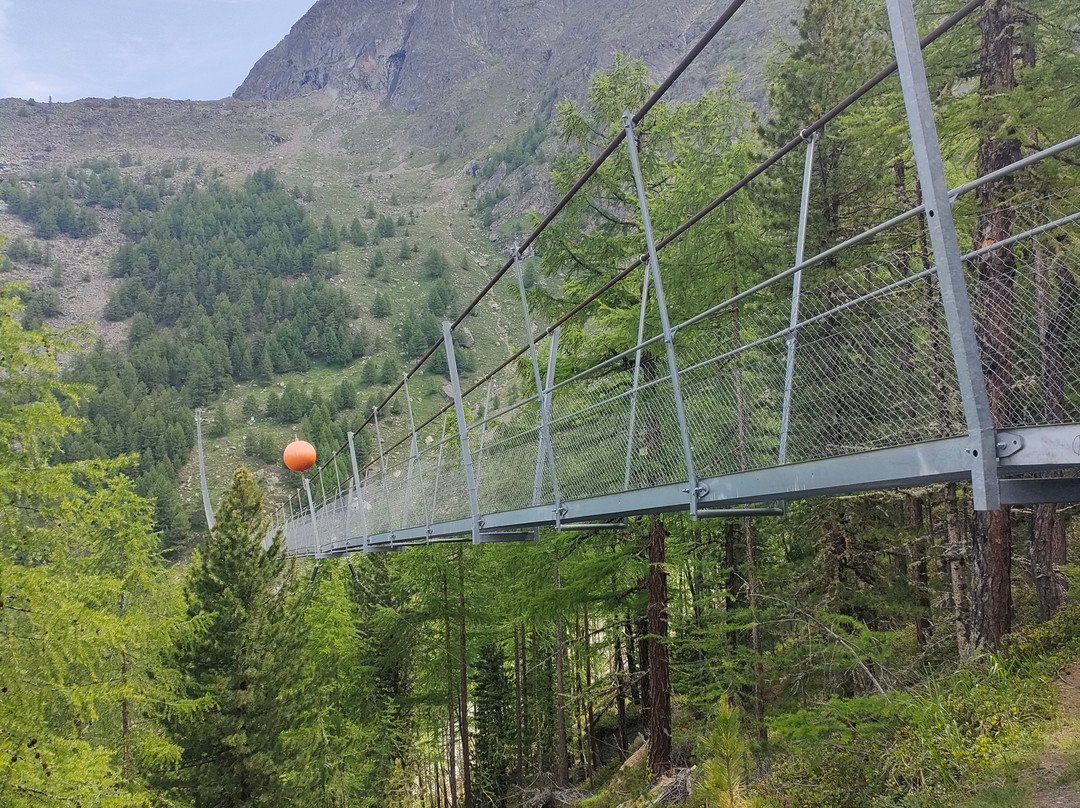 Charles Kuonen Suspension Bridge景点图片
