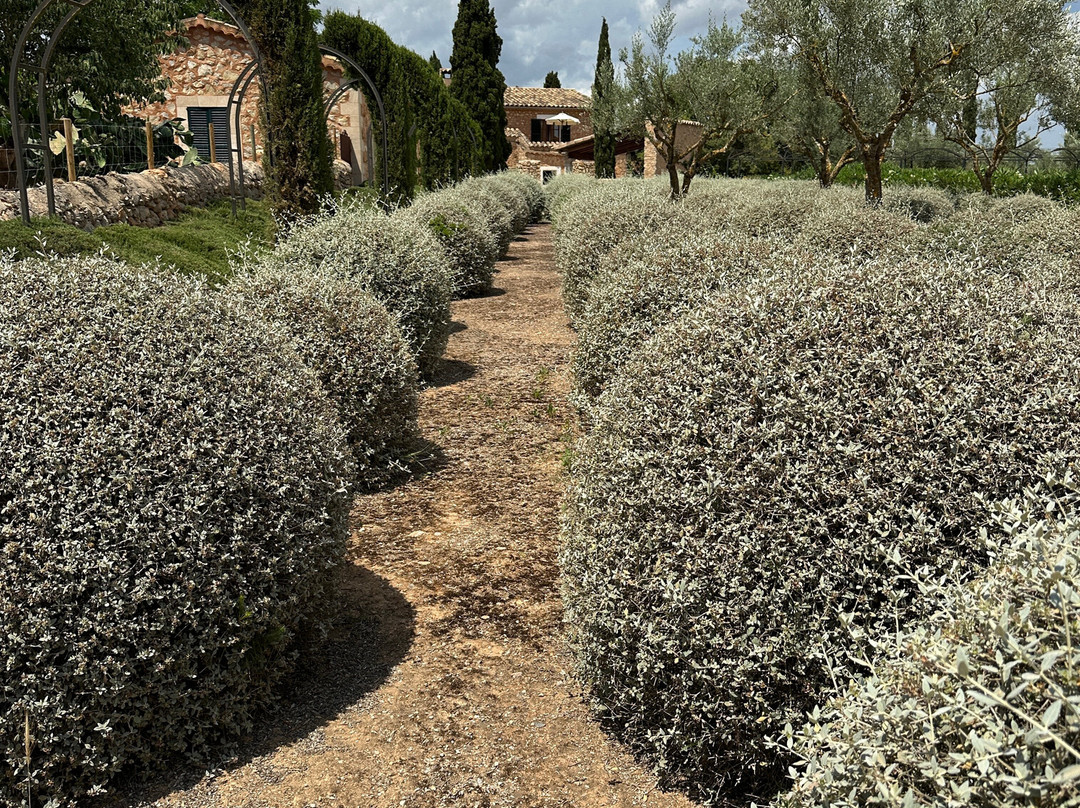 Torrent Fals Finca - Agroturismo主图