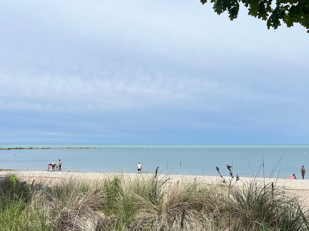 Cove Beach景点图片