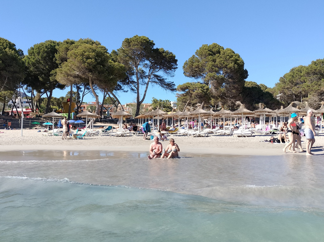 Playa Palmira景点图片