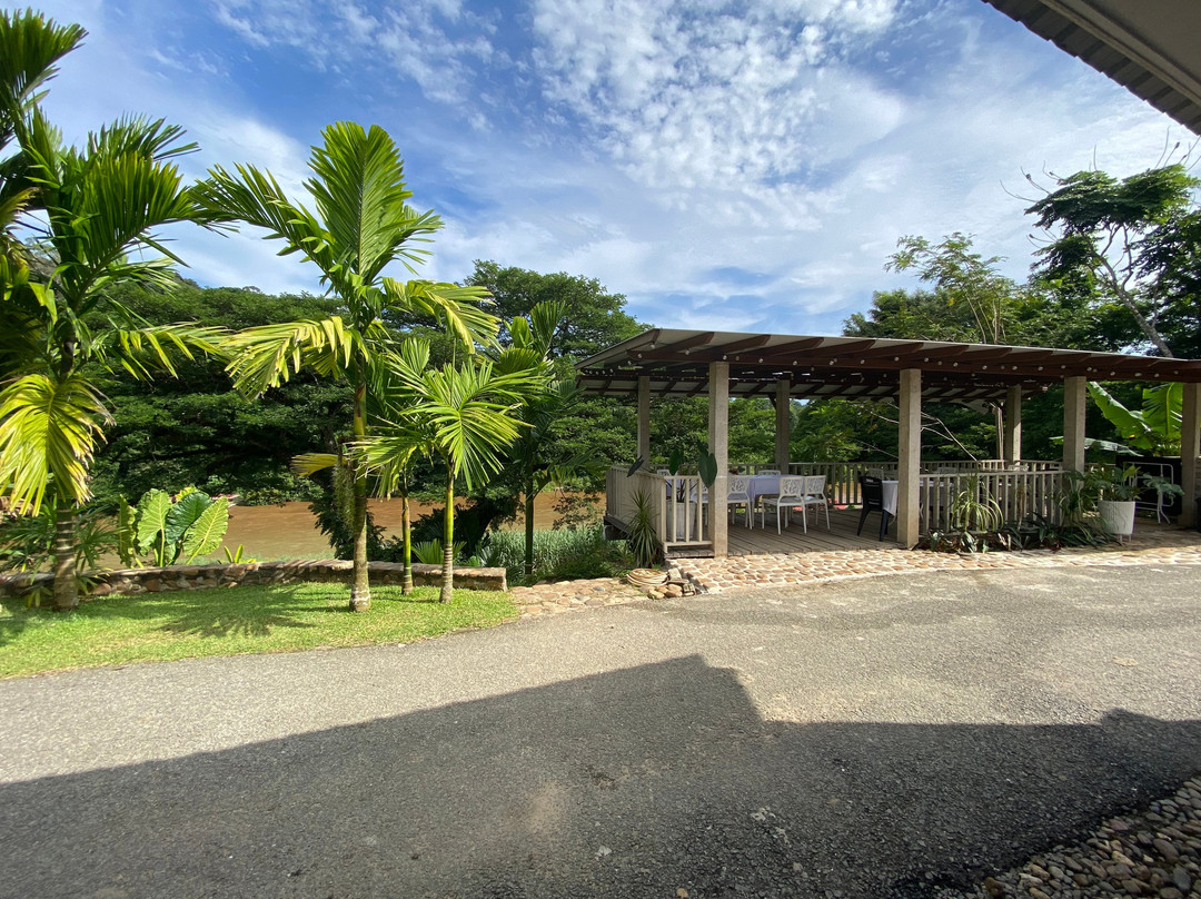 TEBiNG Guesthouse Taman Negara Malaysia Kuala Tahan主图