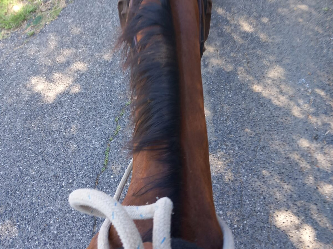 MBH Ranch-Sarzana必去景点