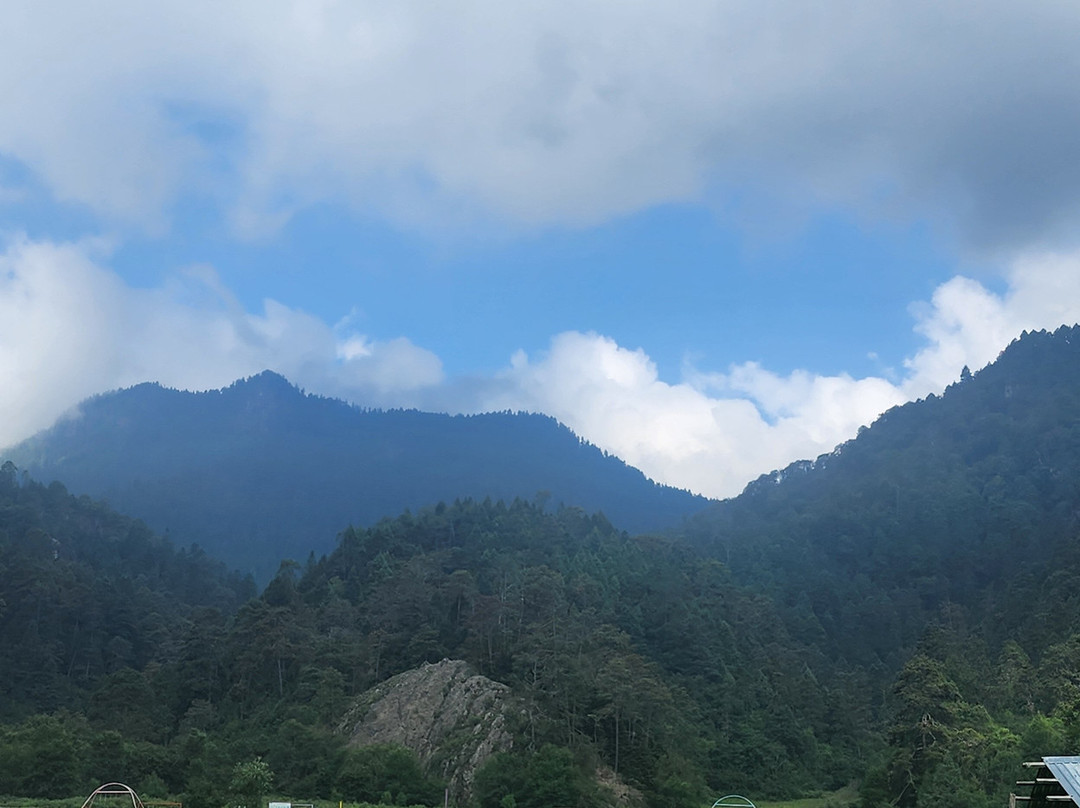 Lagunas de Zempoala National Park-墨西哥州必去景点