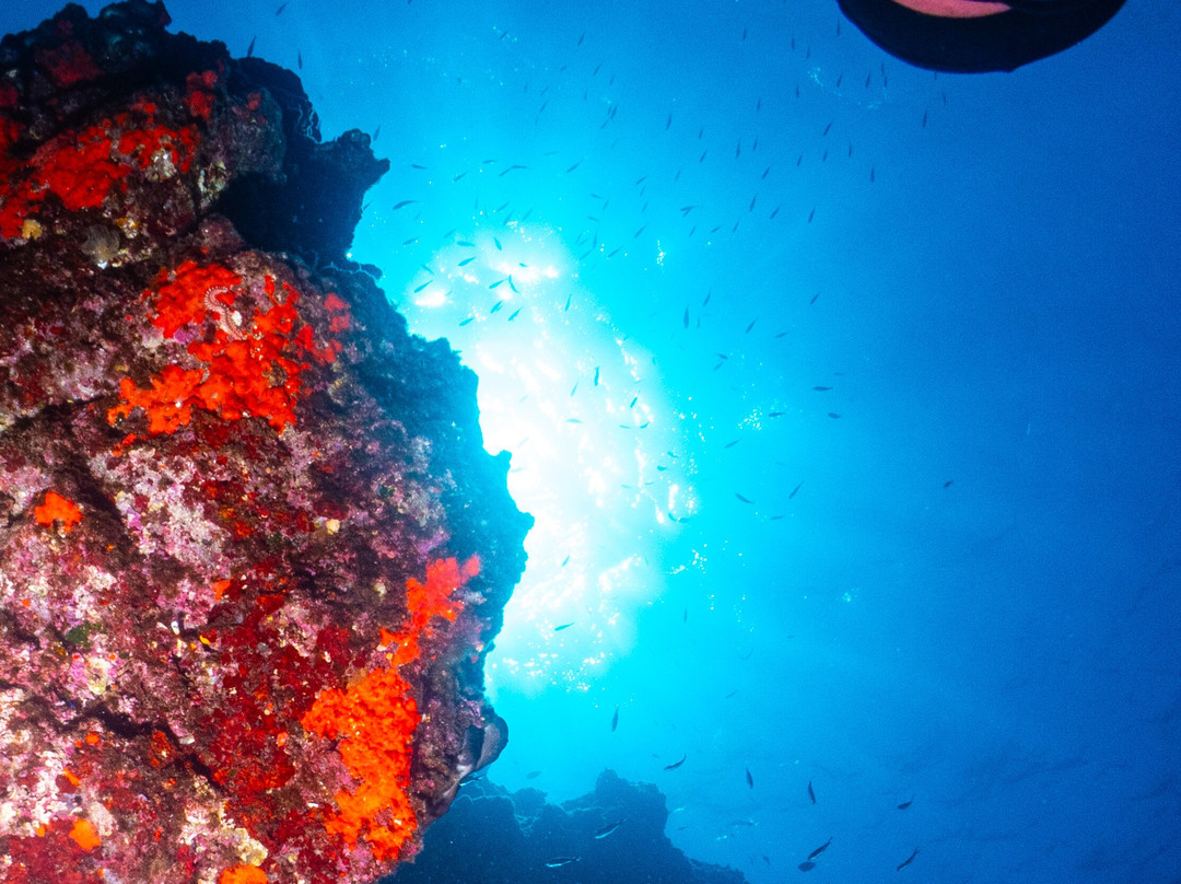 Athens Divers Club-Anavyssos必去景点