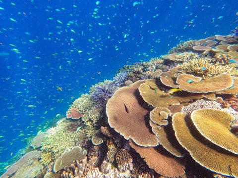 Argo Expeditions-凯恩斯必去景点