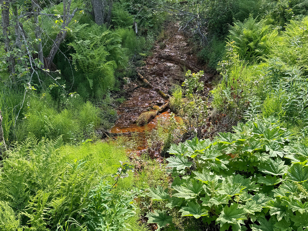 Soldotna Visitor Center-索尔多特纳必去景点
