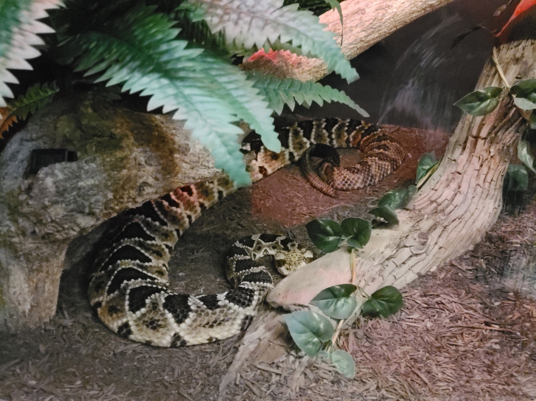 The Serpent Center-Vance必去景点