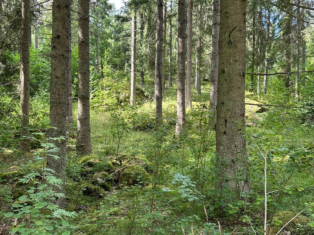 BauerGården主图
