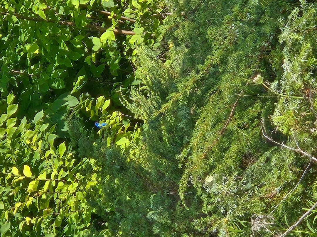 Kangaroo Lake Nature Preserve-Baileys Harbor必去景点