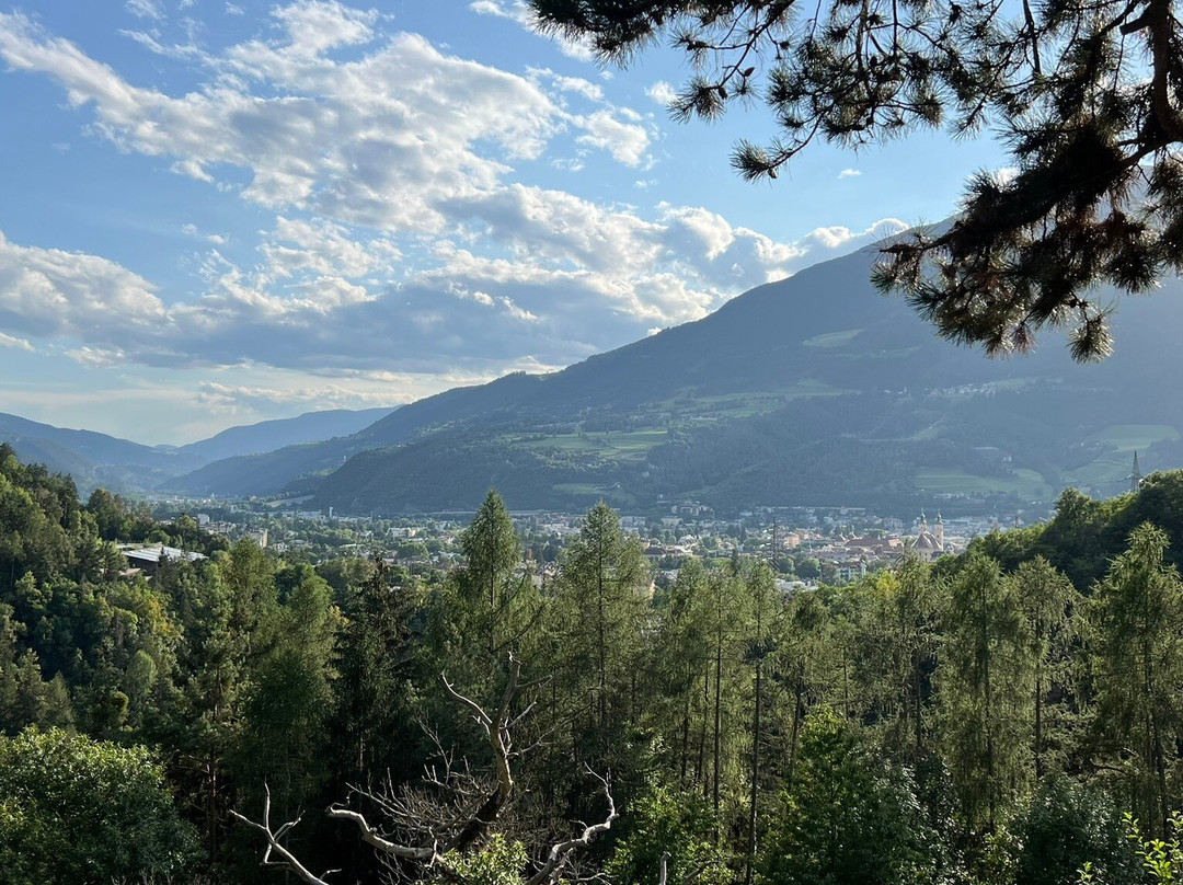 Waldheim Belvedere Hotel主图